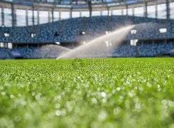 罗马对阵波,尔图,迪巴拉,PG电子官网,PG电子试玩,PG电子模拟器,PG电子平台,PG电子下载